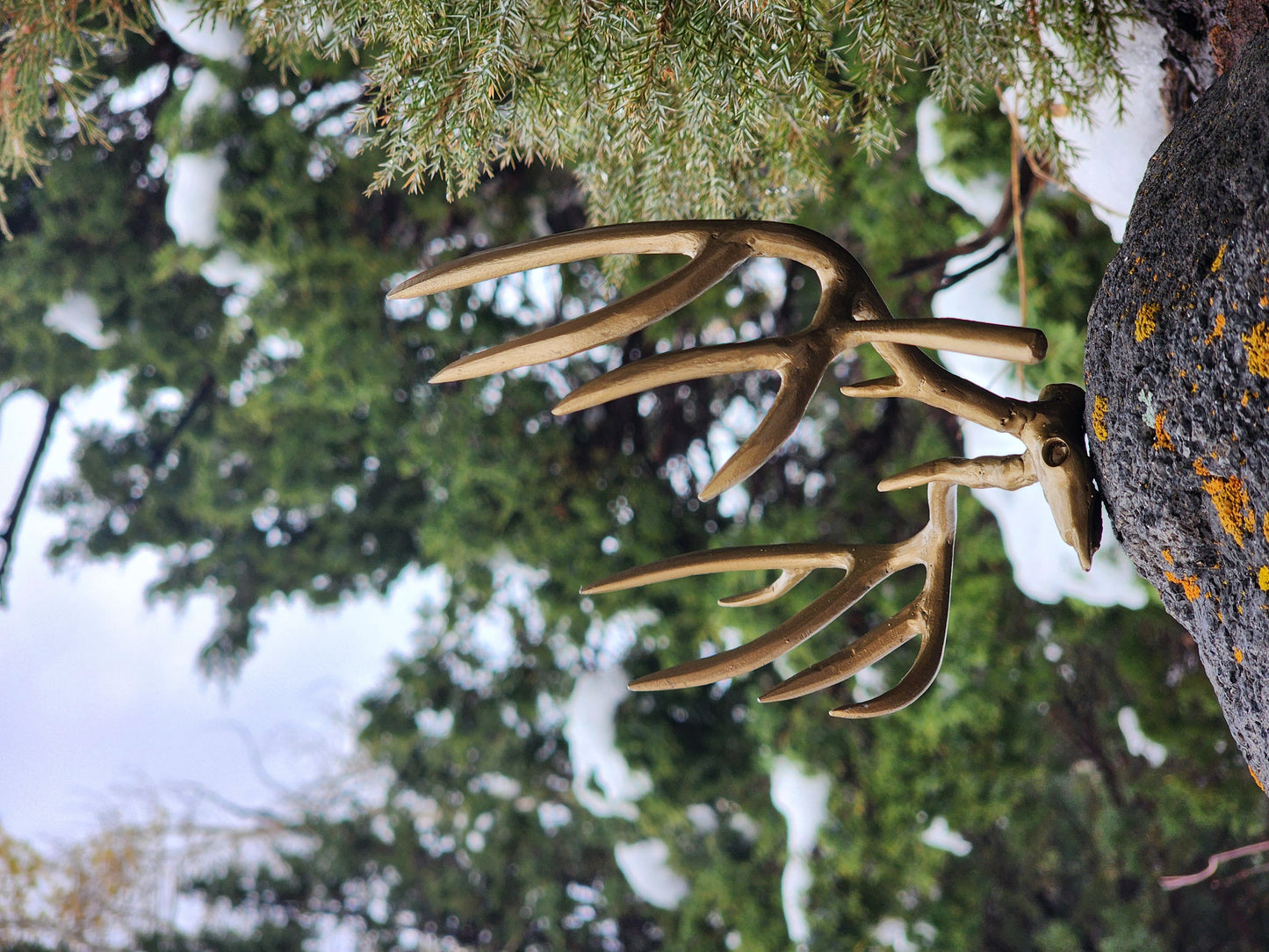 Miniature Muley Sculpture