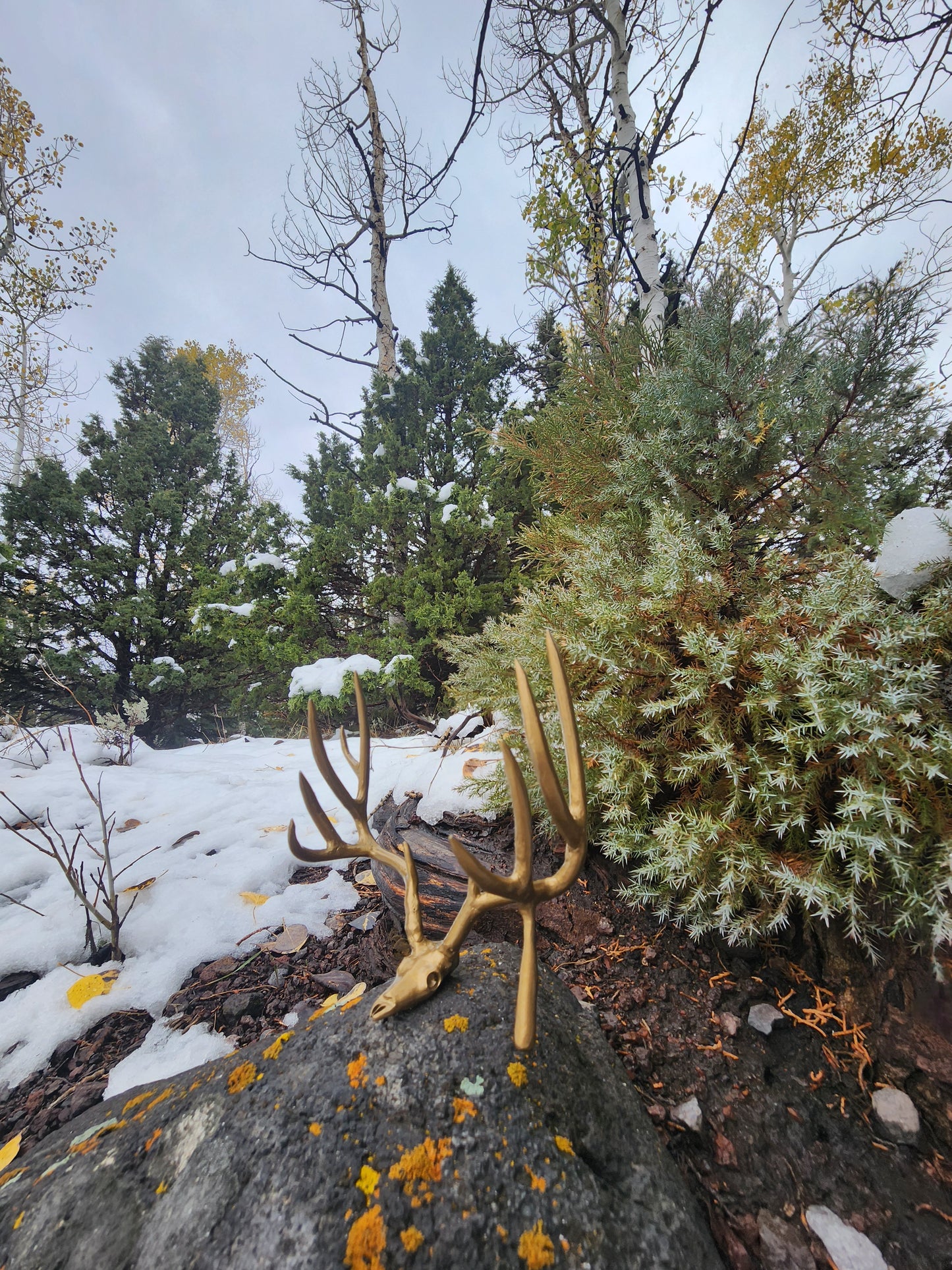 Miniature Muley Sculpture