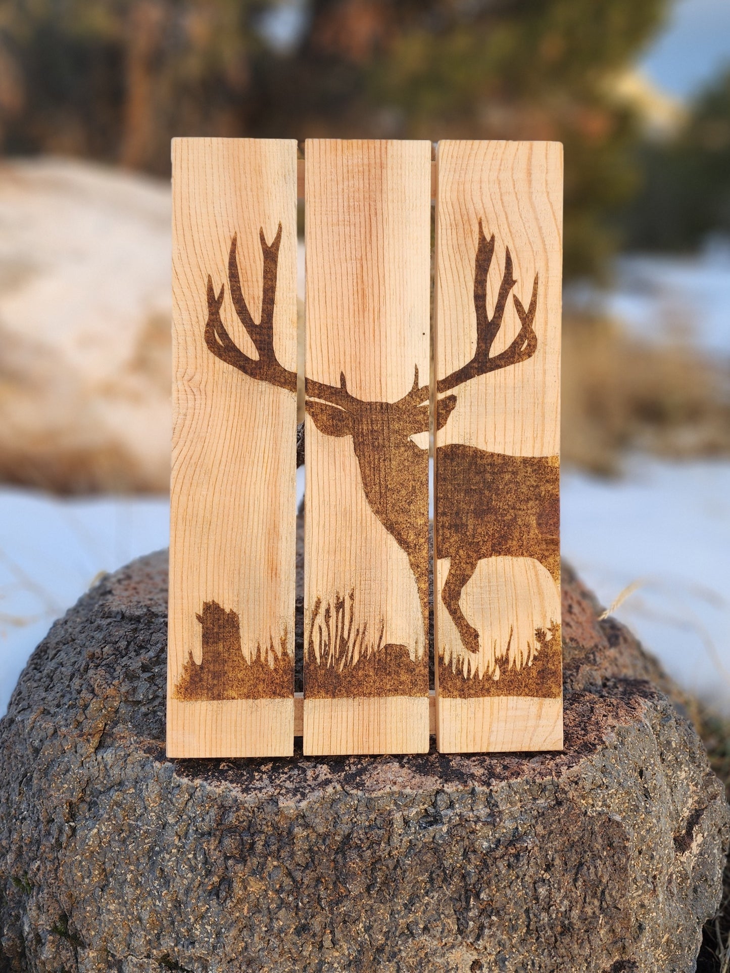 Mule Deer Woodburning