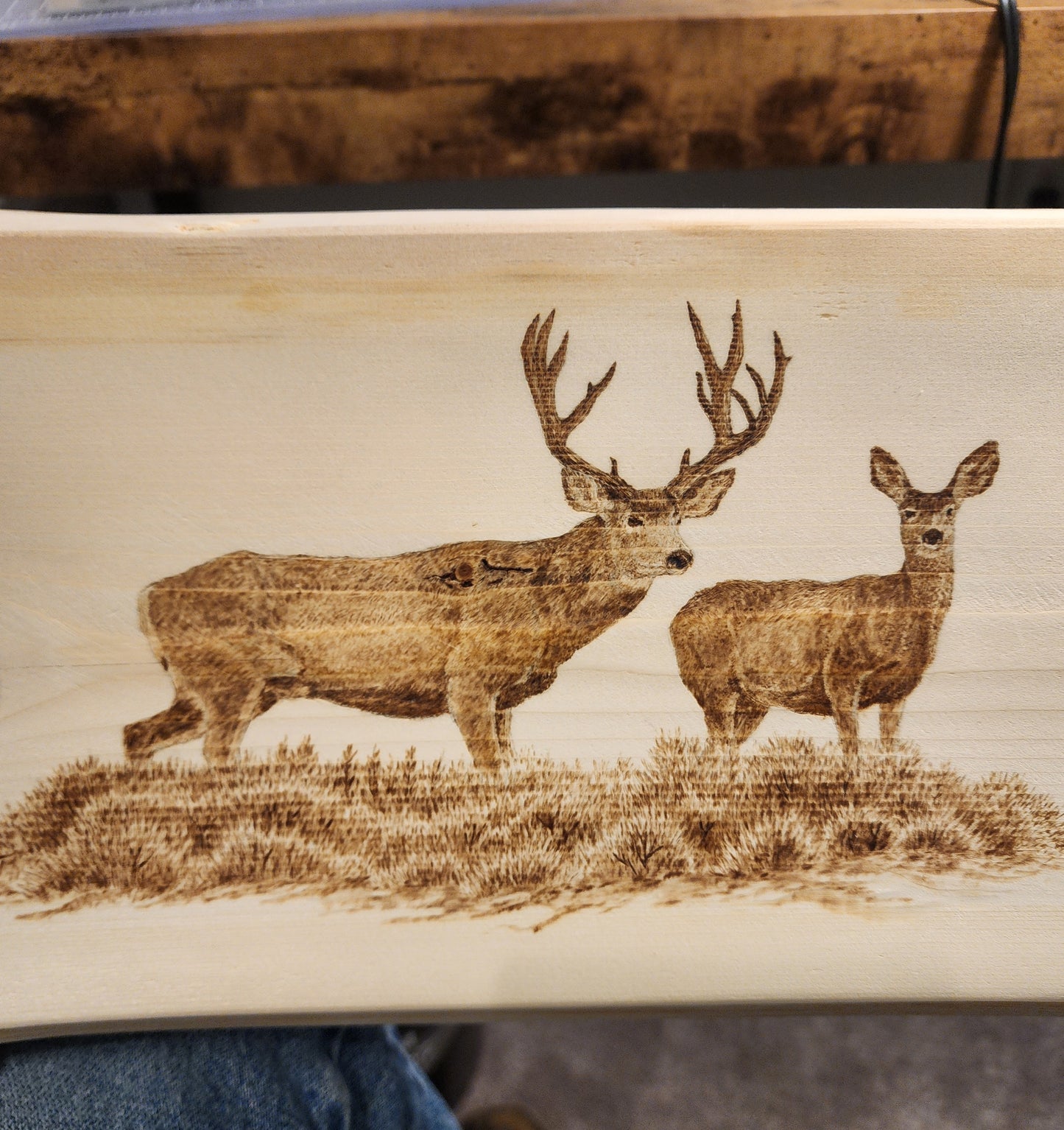 Muley Heaven coat rack