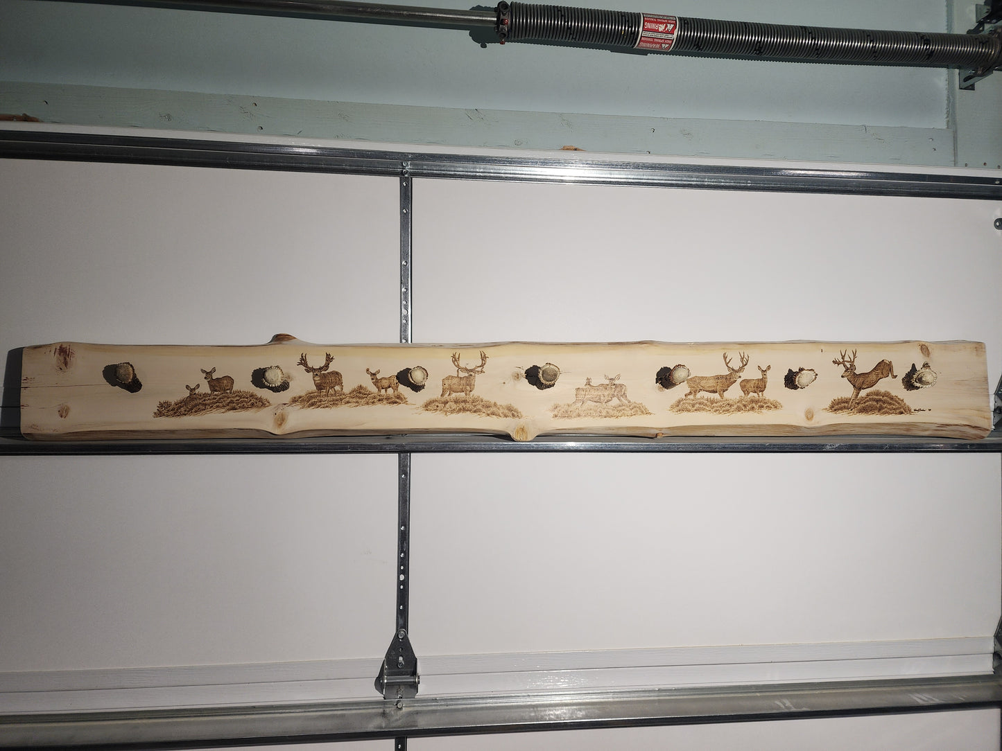 Muley Heaven coat rack