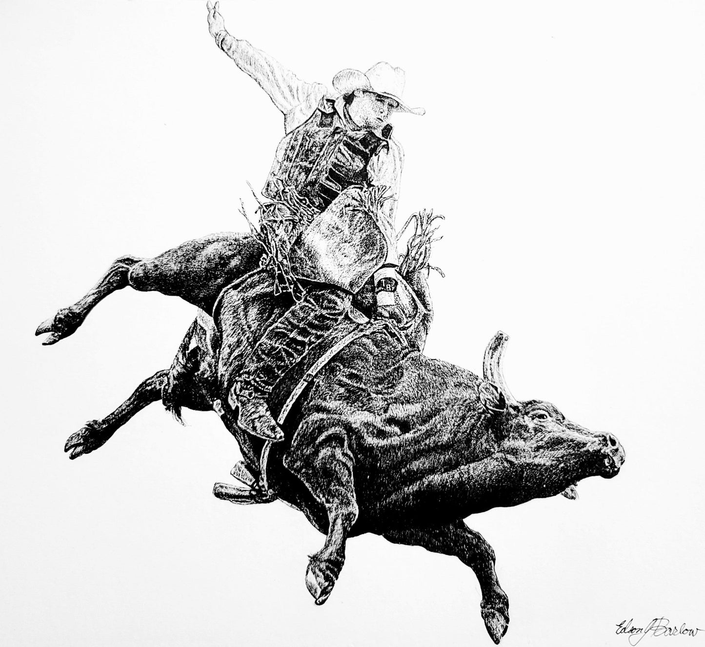 Bull Rider 14x11 Prints