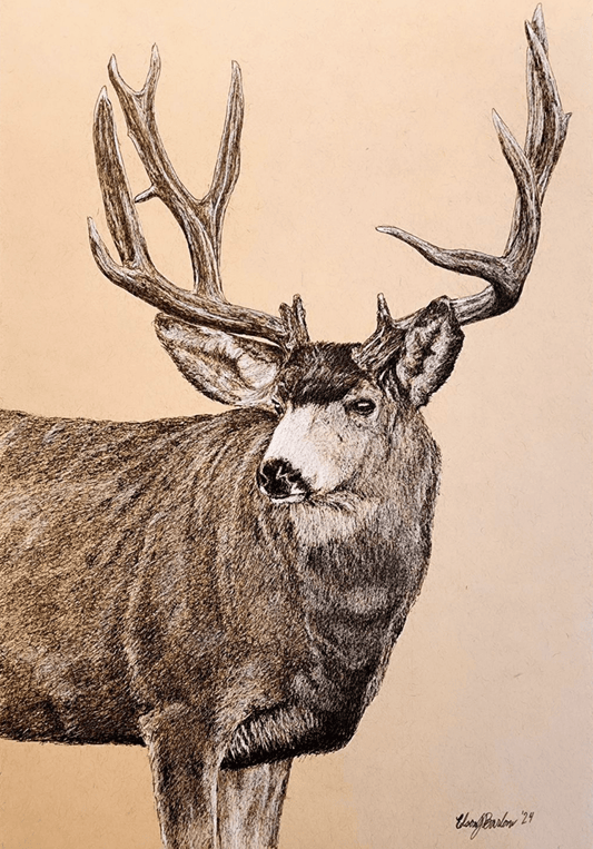 Mule Deer 9X12 Prints