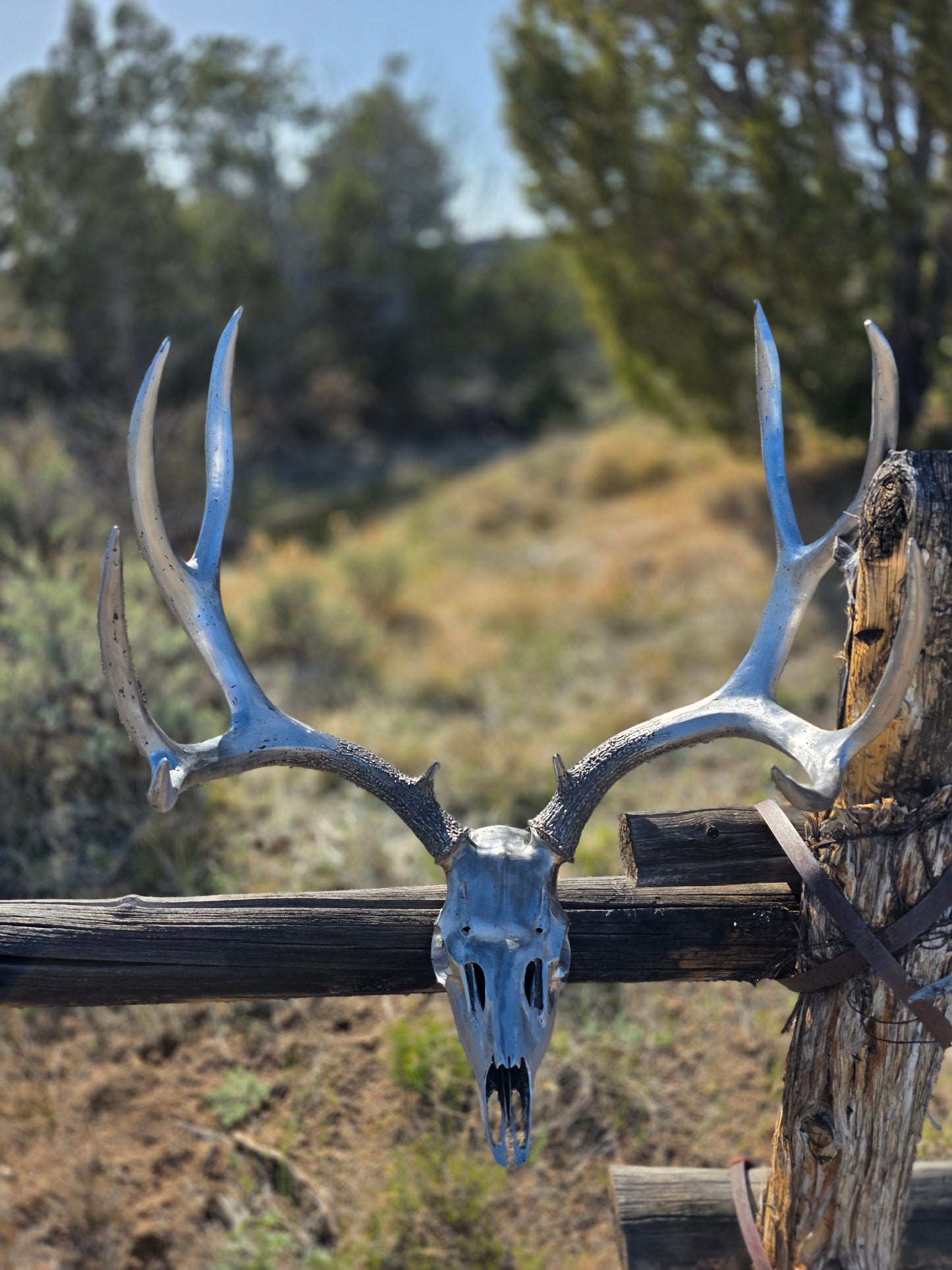 Full-size metal muley euro