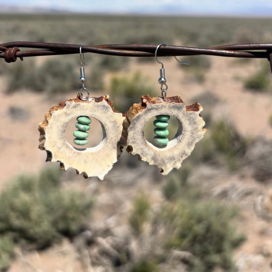 Genuine Elk Antler, turquoise and spiny oyster stone Earrings