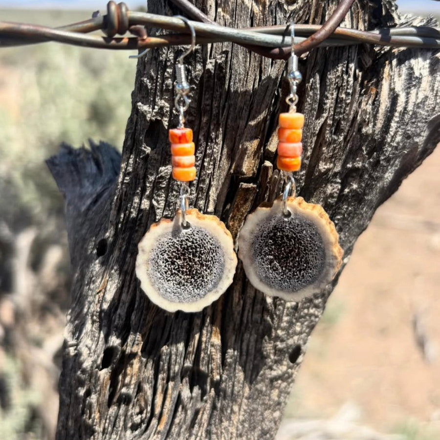 Genuine Elk Antler, turquoise and spiny oyster stone Earrings