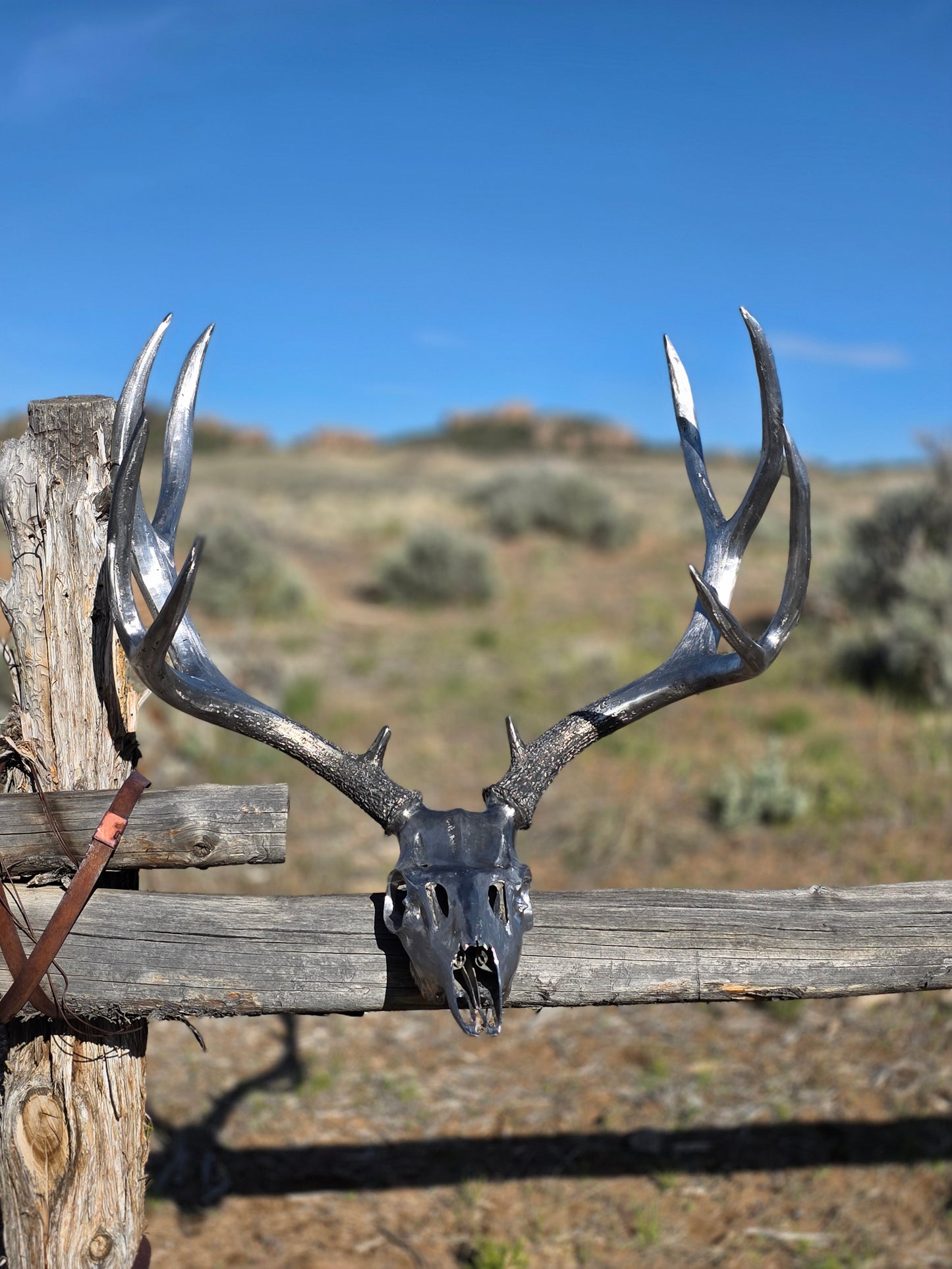 Full-size metal muley euro